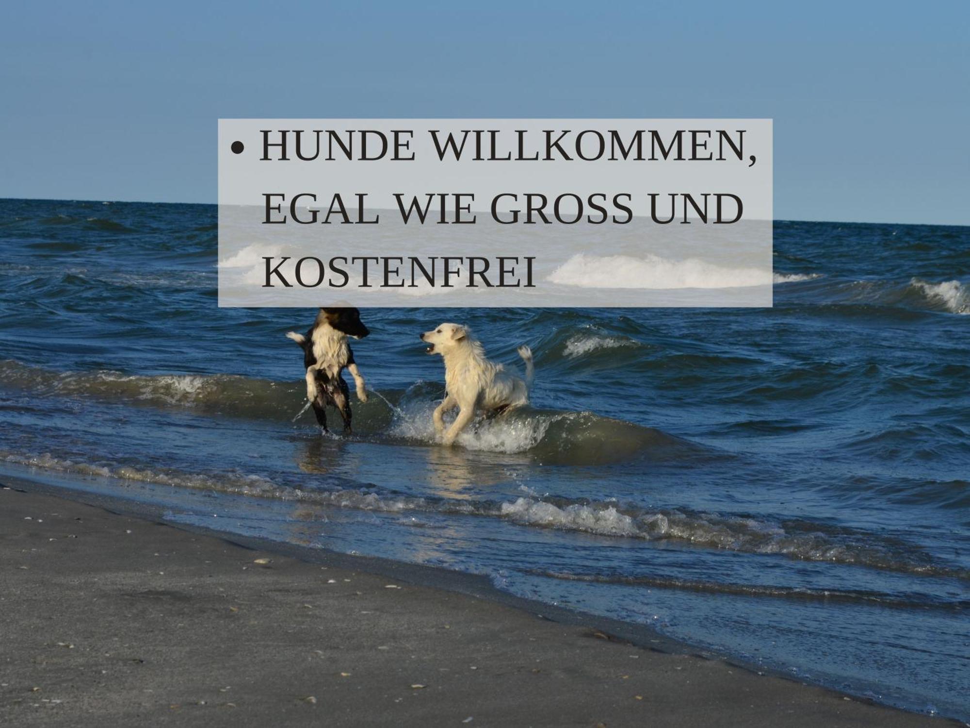 Haus Krabbe Apartments Mit Doppelbetten, Fuer 1-2 Personen, Hunde Kostenfrei Willkommen, Kostenfreier Parkplatz, Zwischen Bremerhaven Und Cuxhaven Gelegen Wremen Exteriér fotografie